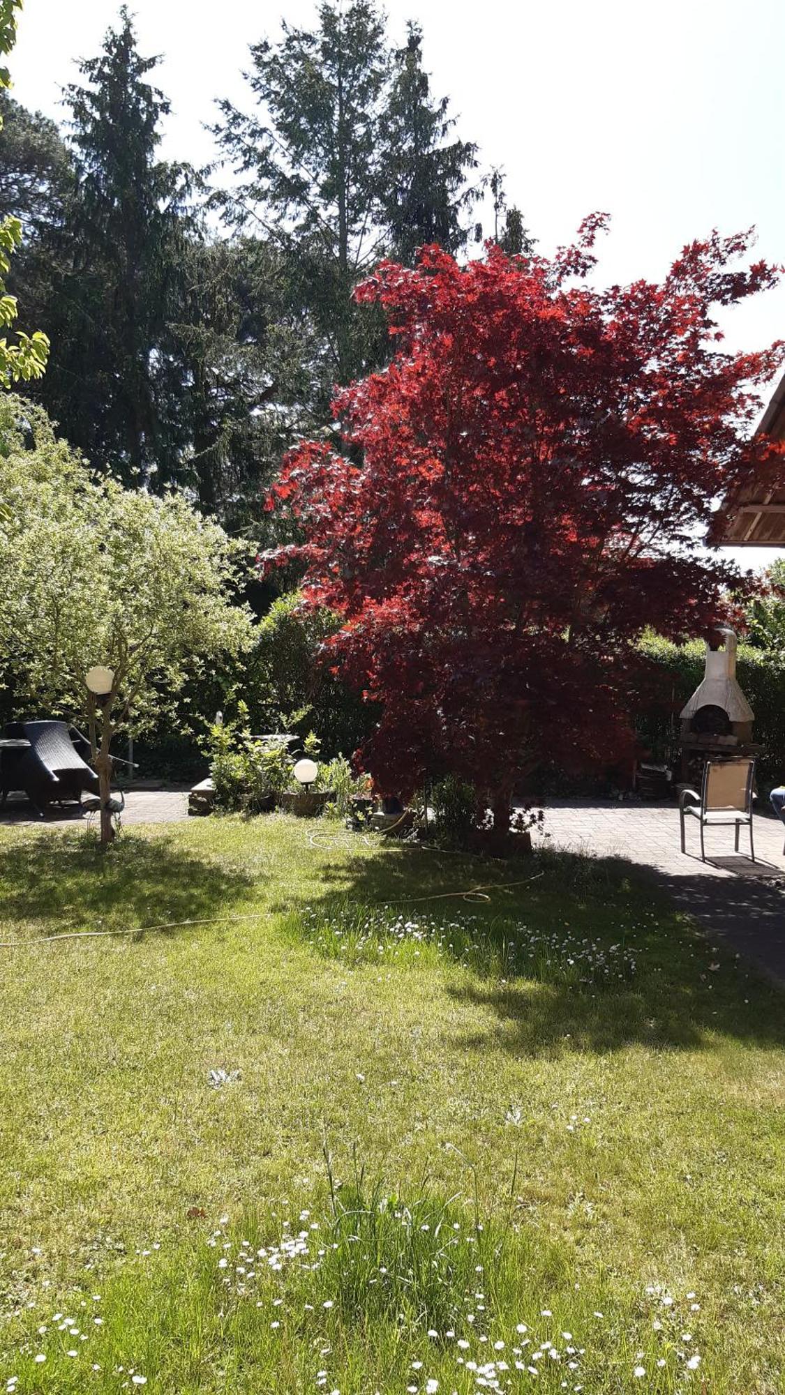 Ferienwohnung Luise, Gemuetlich, Freundlich Und Ganz Nah An Berlin Oranienburg Kültér fotó